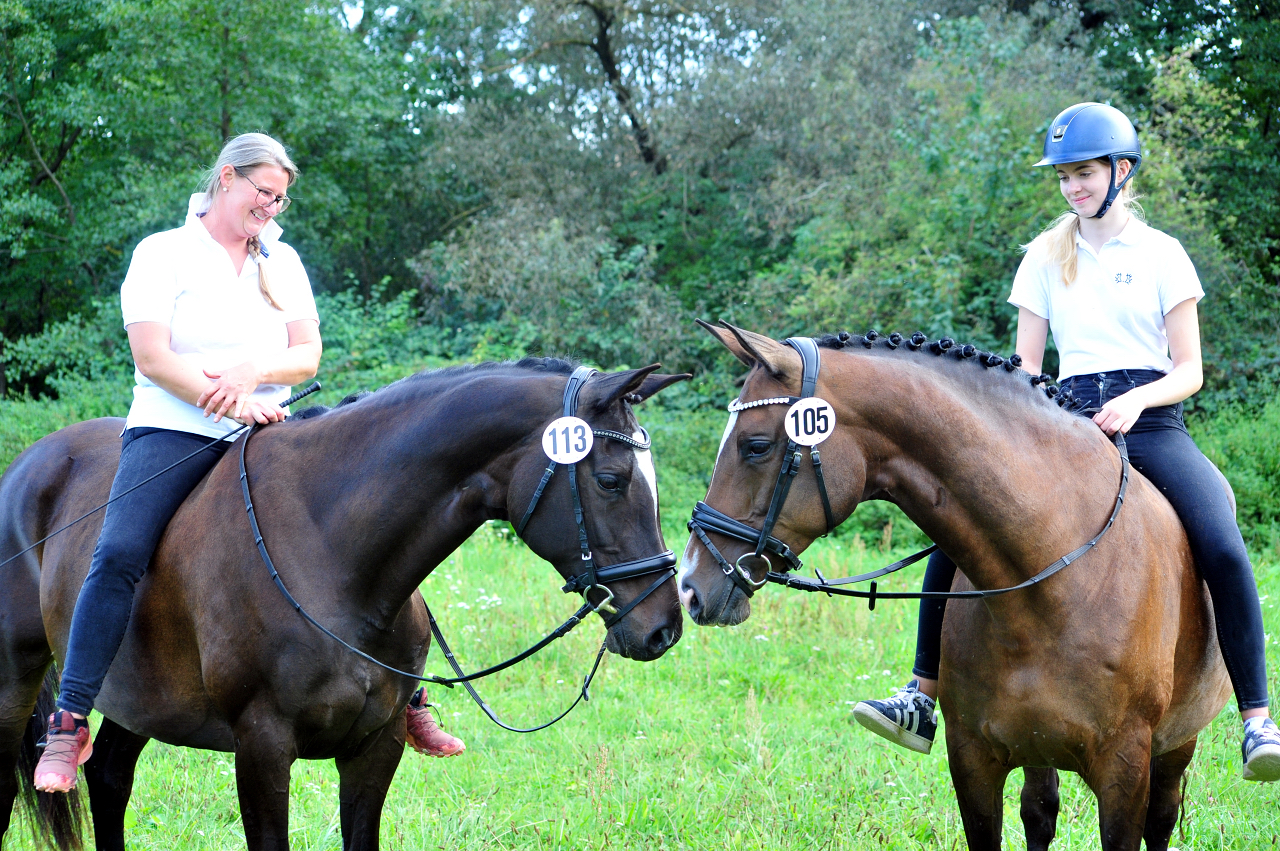 Glorya Gaynor und Tacyra Trakehner Bundesstutenschau Kranichstein 2025 - Foto: Beate Langels - Trakehner Gestüt Hämelschenburg
