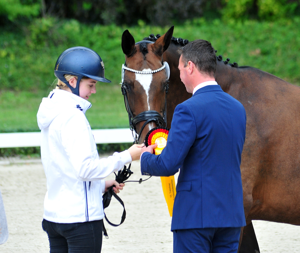 Tacyra - Trakehner Bundesstutenschau Kranichstein 2025 - Foto: Beate Langels - Trakehner Gestüt Hämelschenburg
