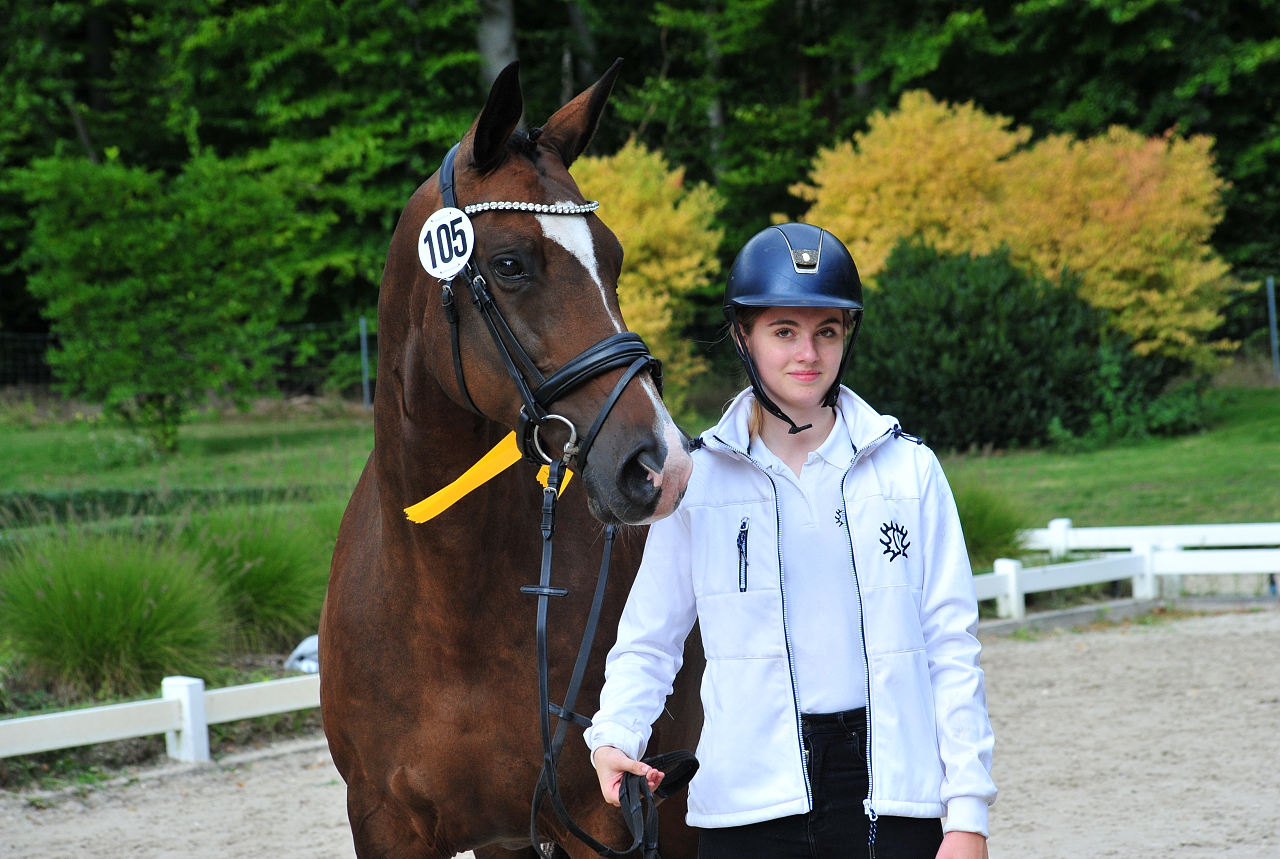 Tacyra - Trakehner Bundesstutenschau Kranichstein 2025 - Foto: Beate Langels - Trakehner Gestüt Hämelschenburg