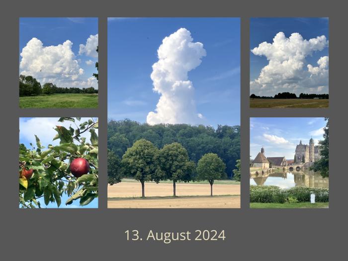 13. August 2024 - Foto: Beate Langels - Trakehner Gest�t H�melschenburg