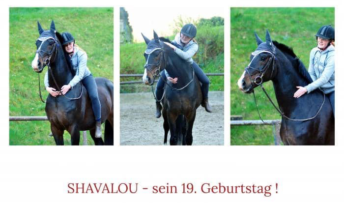 Shavalou wird 19 Jahre alt - Gestt Hmelschenburg Beate Langels - Foto: Beate Langels
