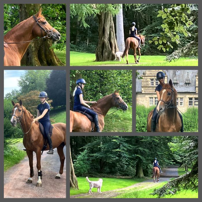 Trakehner Hengst Gl�cksruf und die 15j�hrig Grta im August 2024 - Foto: Beate Langels - Trakehner Gest�t H�melschenburg