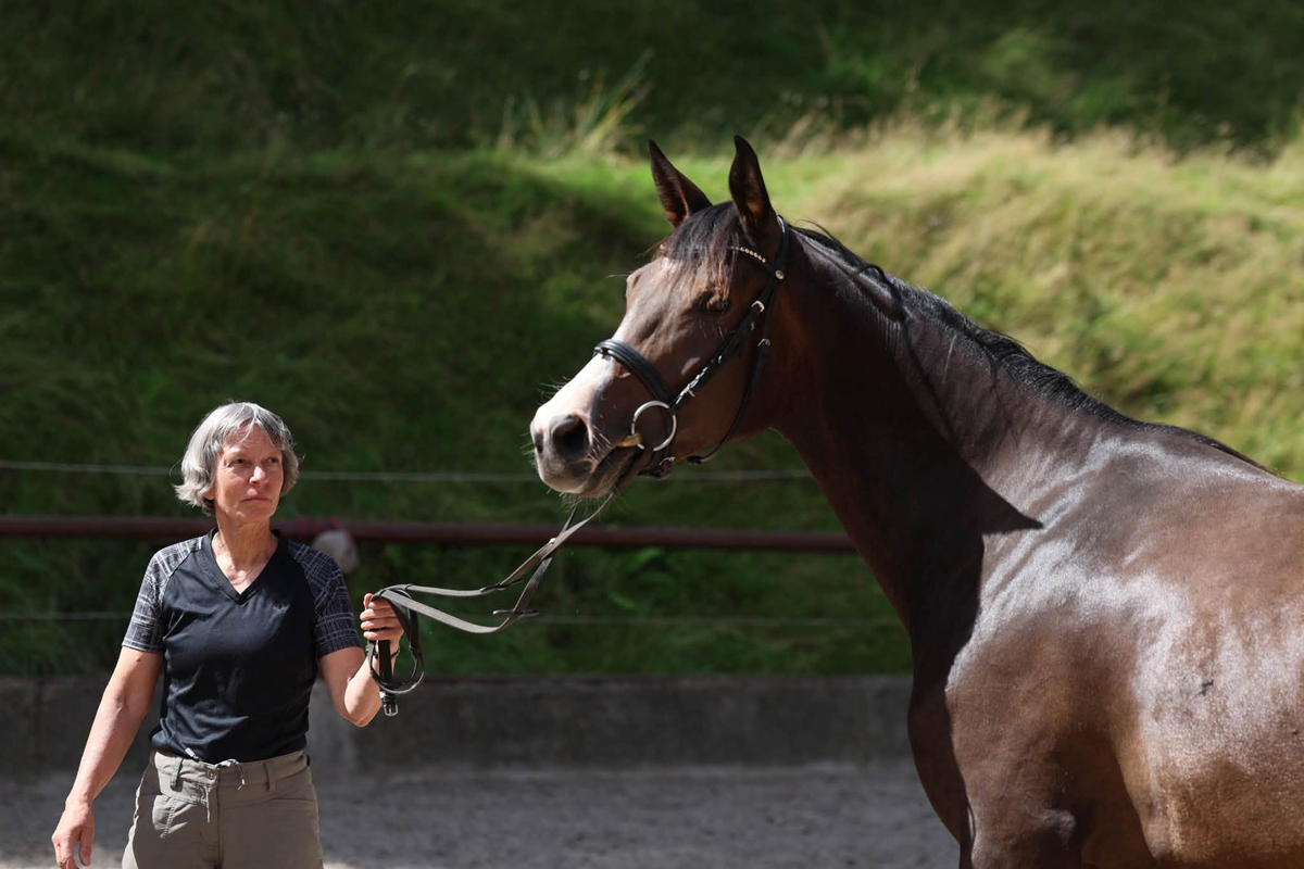 Trakehner Stute  Giavedia (dreij�hrig) - Trakehner Gest�t H�melschenburg - Foto Beate Langels