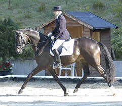 3-year old premium-mare Hannah by Freudenfest - Exlusiv