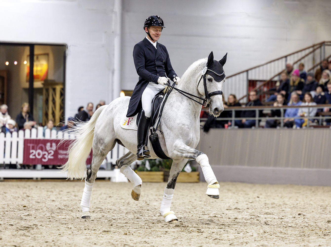 Trakehner Stallion Hopkins - Trakehner Gestüt Hämelschenburg