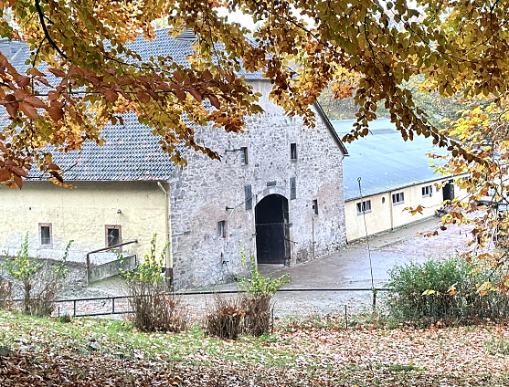 Hmelschenburger Impressionen im November 2025 - Trakehner Gestt Hmelschenburg  - Foto: Beate Langels
