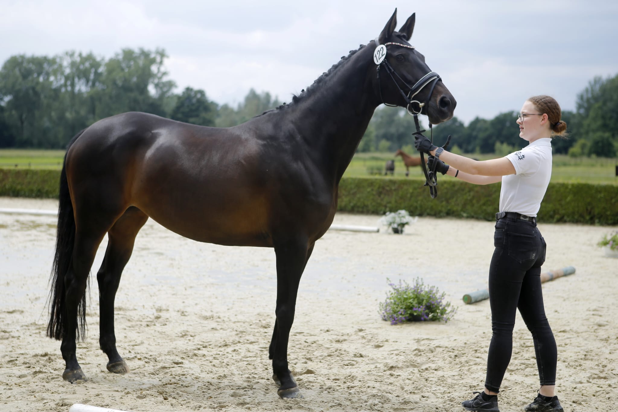 Kahlessi von El Greco u.d. Pr.u.StPrSt. Kendra v. Freudenfest  - Foto: privat -
Gestüt Schäplitz