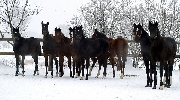 Die Gruppe der Absetzer im Winter 2011 in Schplitz - Foto: Richard Langels