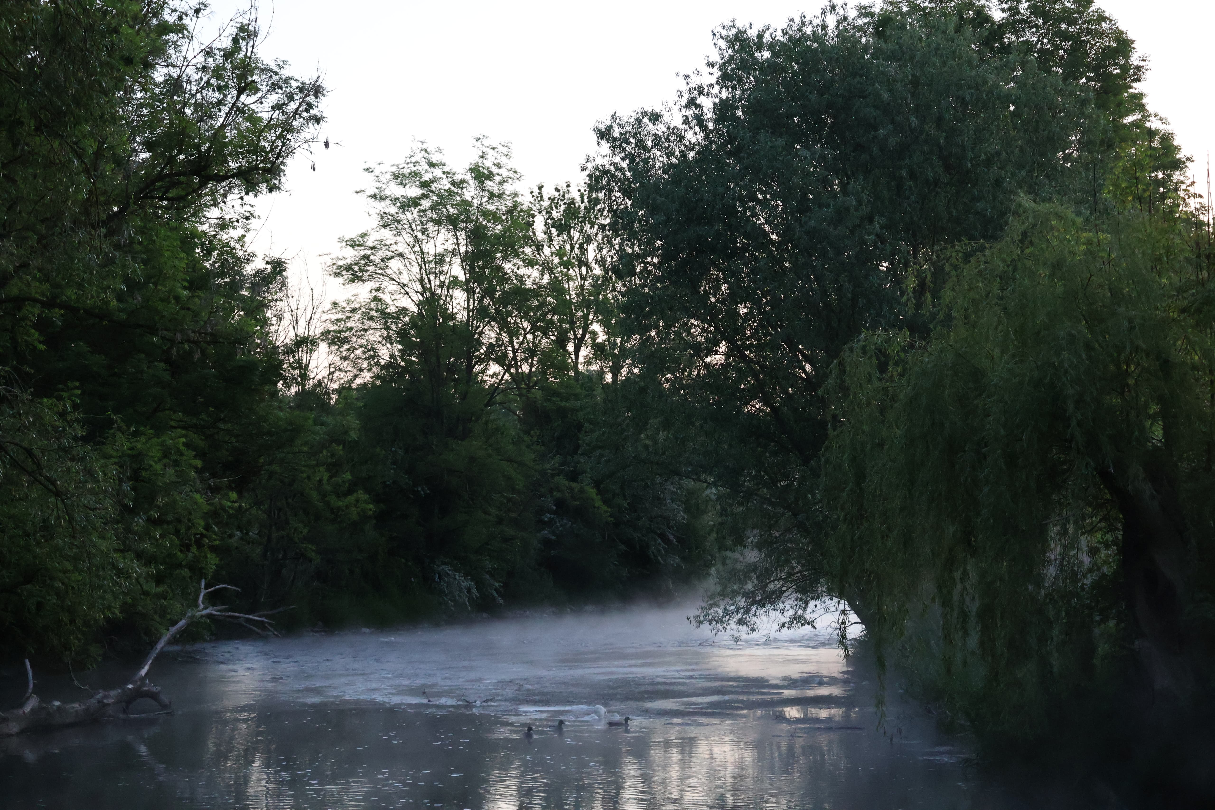 An der Emmer - Gest�t H�melschenburg - 16.Mai 2025 - Trakehner Gest�t H�melschenburg - Foto Sabine Beyer