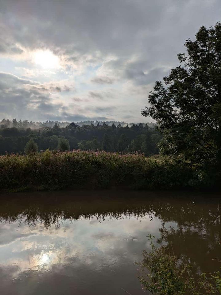 Morgens fr�h an der Emmer bei den Trakehnern - Foto: Sabine Beyer - Trakehner Gest�t H�melschenburg