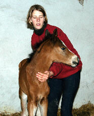 Filly by Freudenfest - Exclusiv