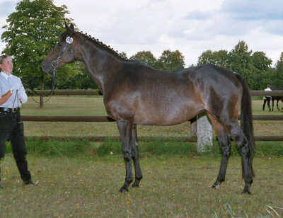 Unterhaltung xx v. Fierant (14-j�hrig)