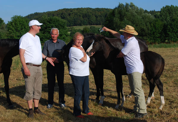 Taufe des Trakehner Hengstfohlens VERMENTINO von Alter Fritz u.d. Prämienstute Vittoria v. Exclusiv - Showmaster, Gestüt Hämelschenburg