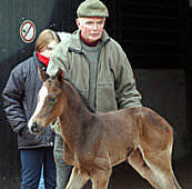 Colt by Exclusiv out of Vicenza by Showmaster (at the age of seven hours)