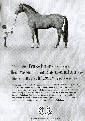 Trakehner Siegerhengst Freudenfest und die 4-j&auml;hrige Johanna