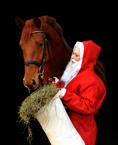 Tudor und der Weihnachtsmann - Foto: Beate Langels