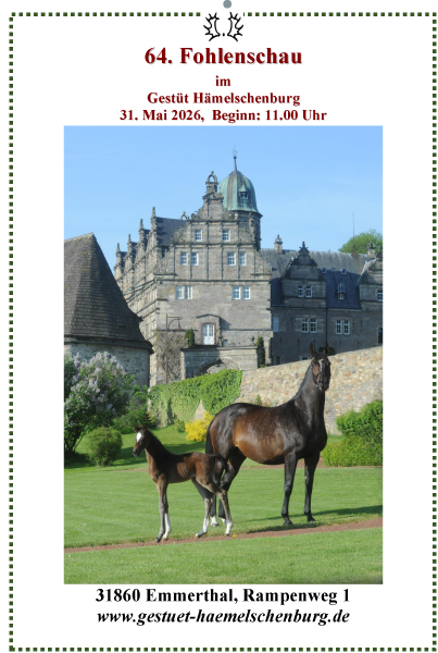  Saint Cyr von Kotolany
- Foto: Beate Langels - Trakehner Gest�t H�melschenburg